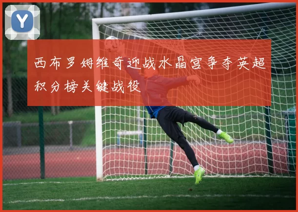 西布罗姆维奇迎战水晶宫争夺英超积分榜关键战役