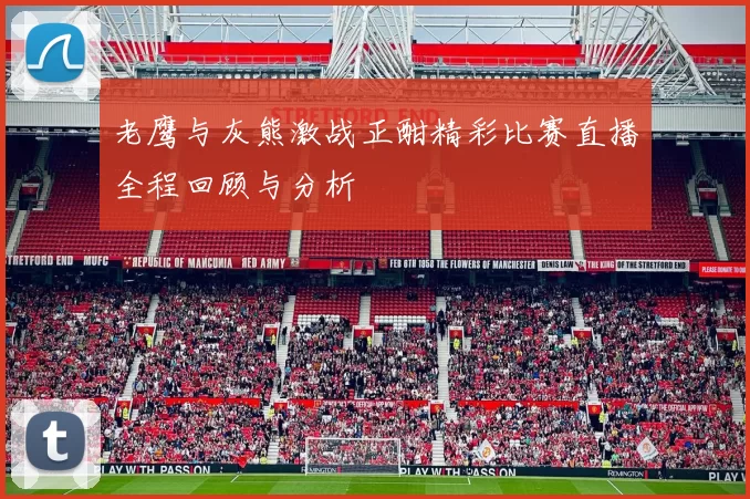 老鹰与灰熊激战正酣精彩比赛直播全程回顾与分析