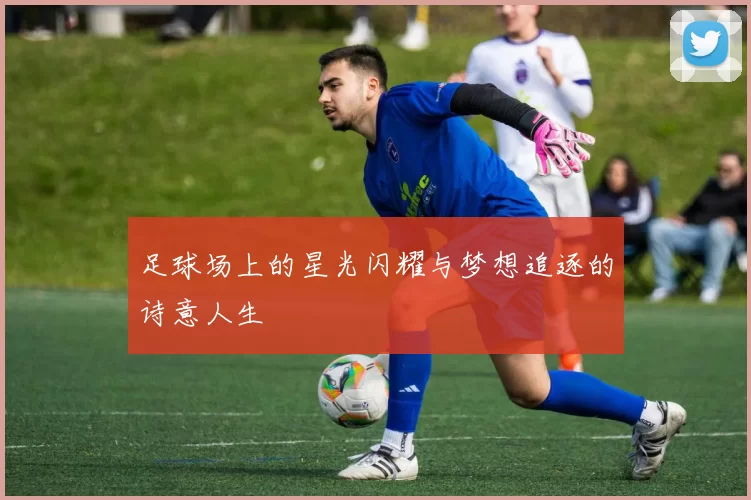 足球场上的星光闪耀与梦想追逐的诗意人生